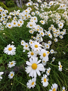 20180511_053631_HDR.jpg