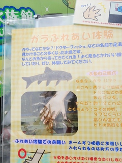 20180526_120710.jpg