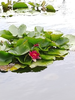 20180621_113557.jpg