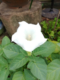 20180628_082551.jpg