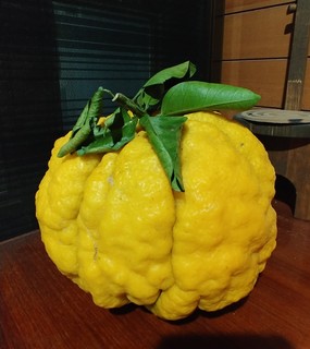 20201210_215641.jpg